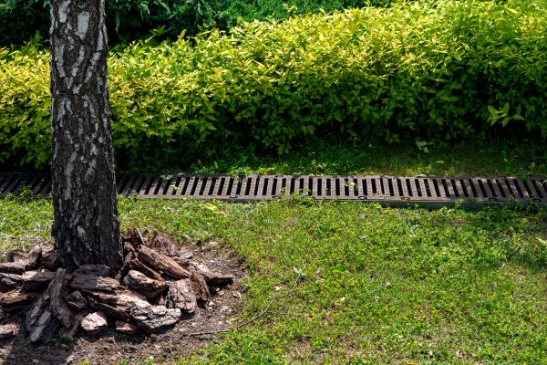Wet Yard Drainage in Salisbury