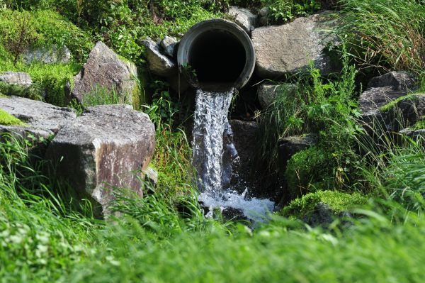 Water Redirection in Salisbury
