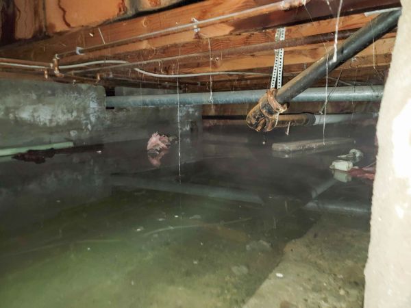 Cost of Crawlspace Drainage in Salisbury
